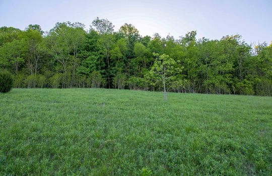 barger hollow land, 12.73 +/- acres, trees, mountains