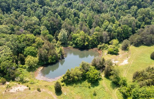 Shepards chapel land, 44.82+/- acres, aerial photo, mountain, pond