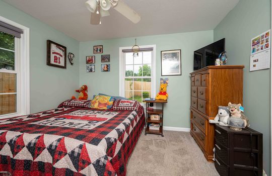 primary bedroom, window, ceiling fan, carpet