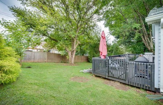 back yard, back deck, trees, fence