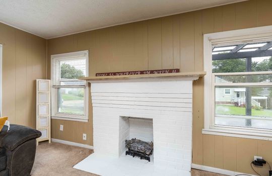 living room, painted brick fireplace, paneling walls, carpet flooring, windows