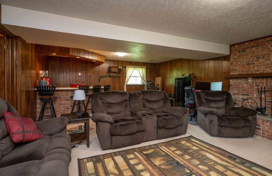 lower level living area, paneling walls, carpet, wet bar