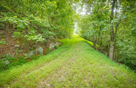 4.5+/- acres, land, trees, clearing