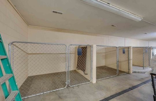 indoor dog runs, concrete flooring, gate