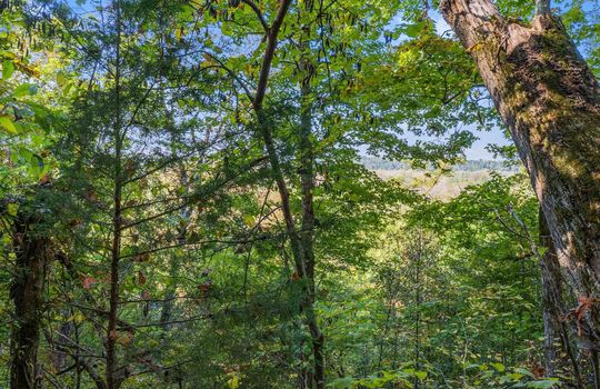 15.5 +/- acres of land, wooded, campground