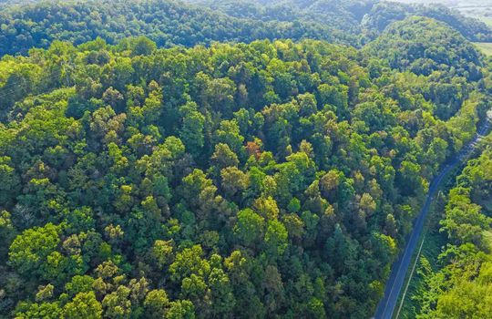aerial view of property, 15.5 +/- acres of land, wooded, campground, mountains, trees