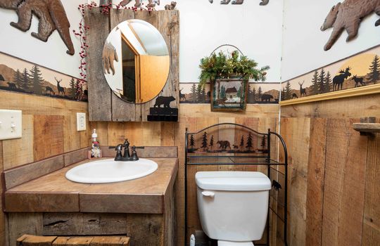 bathroom, toilet, sink, wood accent walls