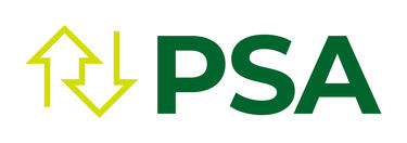 Pricing Strategy Advisor Logo