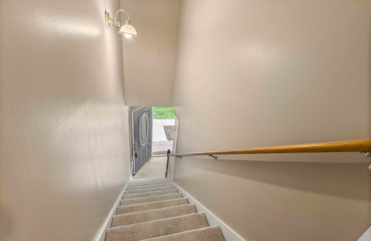 stairs to lower level, hand rail, carpeted stairs