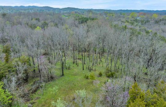 48+/- acres, Stone Drive, Kingsport, undeveloped land, trees, aerial photo, mountain views