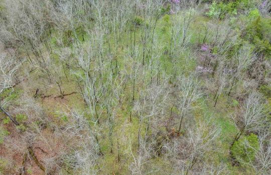 48+/- acres, Stone Drive, Kingsport, undeveloped land, trees, businesse, aerial photo, mountain views