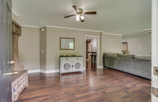 living room, luxury vinyl flooring, ceiling fan