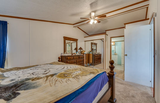 primary bedroom, closet, ceiling fan, carpet