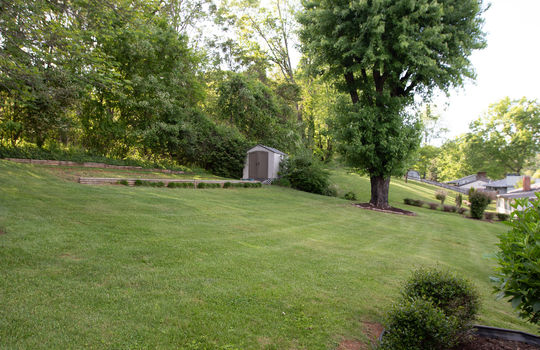 back yard, shed, trees, shrubs, garden bed