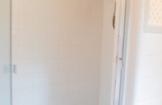 primary bath shower, glass sliding door