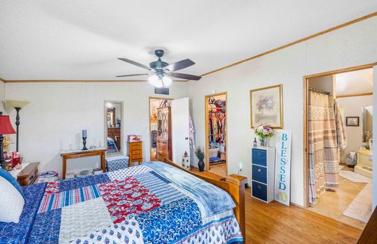 primary bedroom, luxury vinyl flooring, ceiling fan, primary bathroom, walk in closet