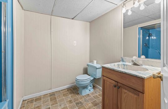 Lower level bath, toilet, sink, laminate flooring