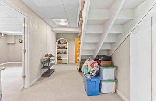 lower level, carpet, ceiling tiles, stairs to upper level