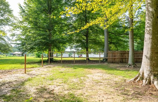 back yard, fencing, trees, gate