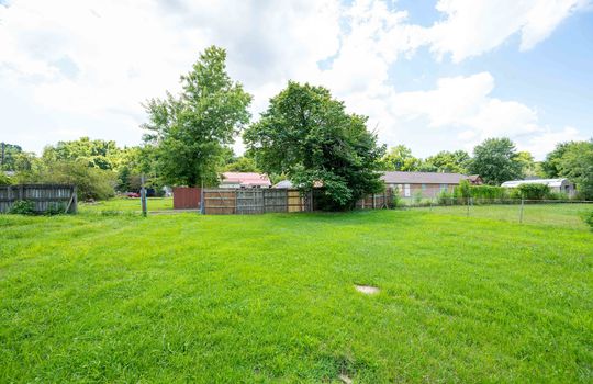 back yard, trees, neighboring homes