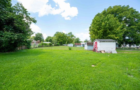 back yard, trees, neighboring properties