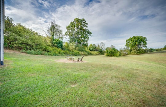 back yard, trees,