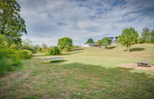 back yard, trees, neighboring homes