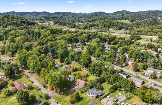 neighborhood, trees, mountain views, road