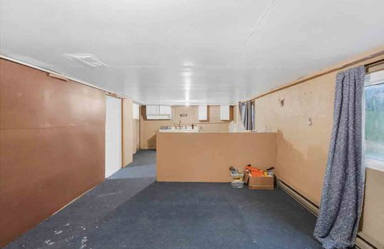 basement level living area, carpet, partitioned wall