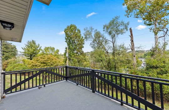 back deck, back yard, railing