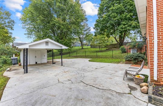 concrete driveway, shed, trees, back yard