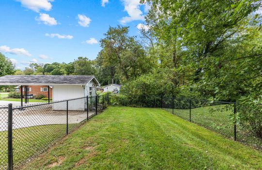 back yard, fencing, trees