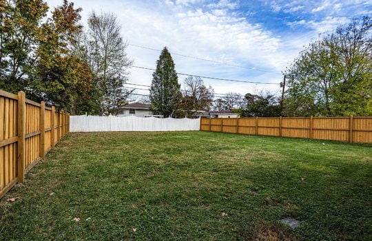 back yard, fenced back yard