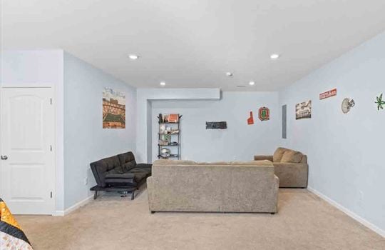 lower level den/living space, carpet, recessed lighting