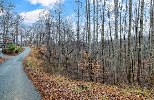 road trees, mountain views