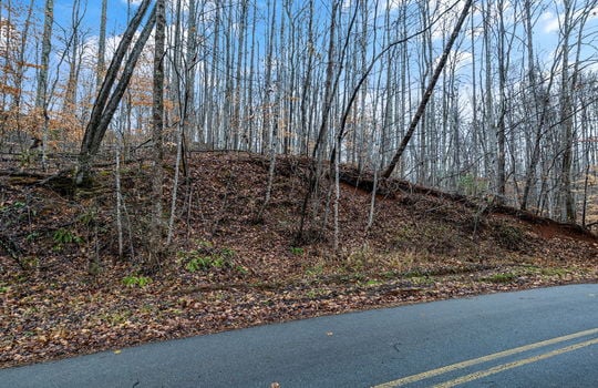 road trees, mountain views