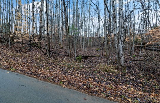 road, trees, mountain views