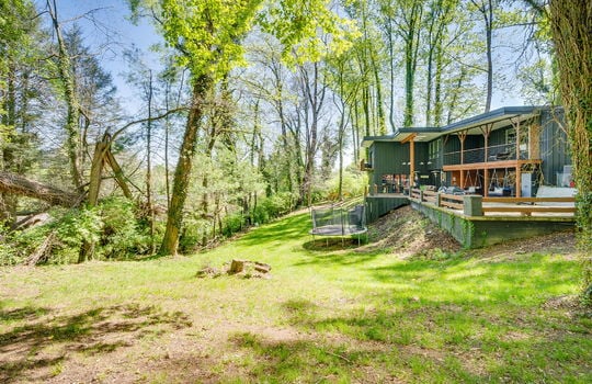 back yard, trees, back decks, back patio, contemporary home