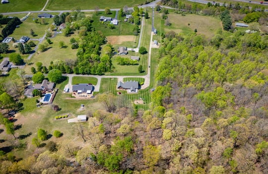 aerial view of home, back yard, roof, driveway, trees, road, neighboring homes