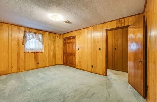 bedroom, paneling walls, closet, carpet, windows