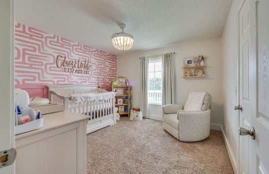bedroom, carpet, closet, window, light fixture