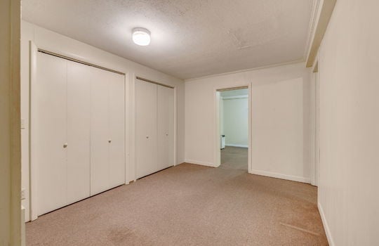 lower level living space, storage closets, carpet