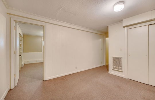lower level living space, carpet, storage closets