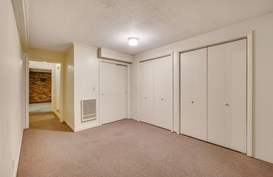 lower level living space, carpet, storage closets