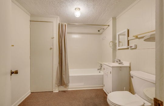 lower level bathroom, carpet, sink, toilet, shower/tub, linen closet,