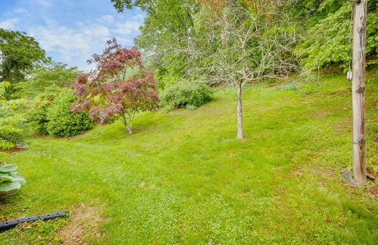 back yard, trees, landscaping