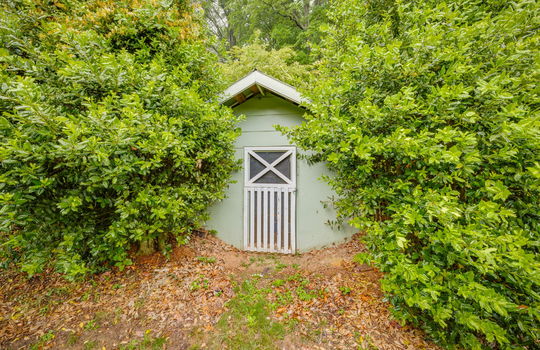 back yard, shed, door, trees