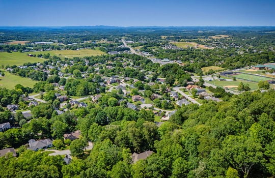 aerial view of neighborhood, homes, roads, trees, mountains