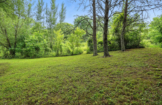 cleared land, trees