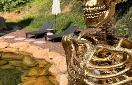 golden fake skeleton, pond, back yard